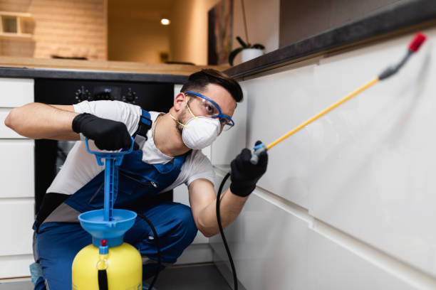 Best Pest Control Near Me  in Ford Heights, IL