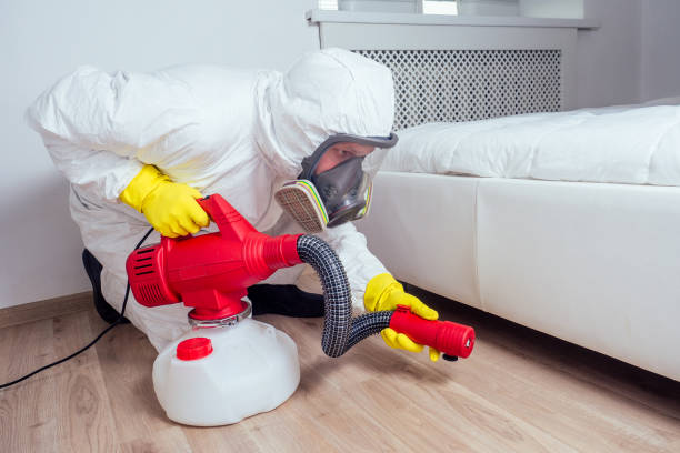 Professional Pest Control in Ford Heights, IL